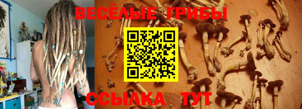 Псилоцибиновые грибы Magic Shrooms  Вход с VPN  Псилоцибиновые грибы мицелий  Нефтекумск 